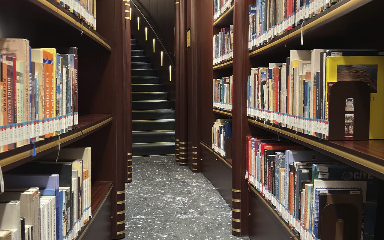 About our library